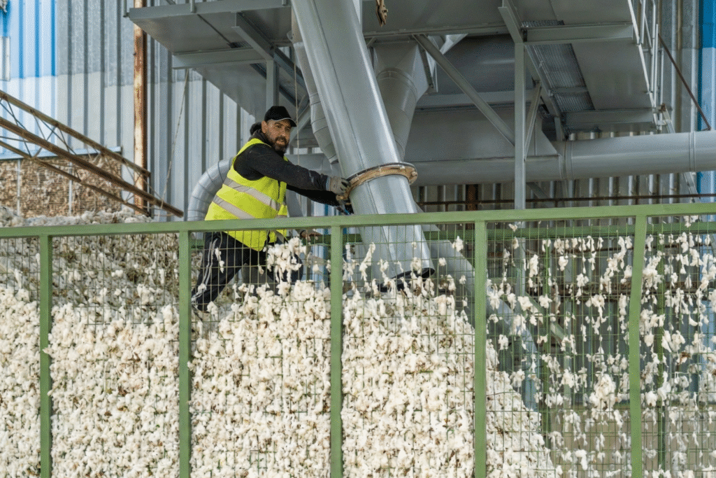 taxinomisi-six-alpha-cotton2