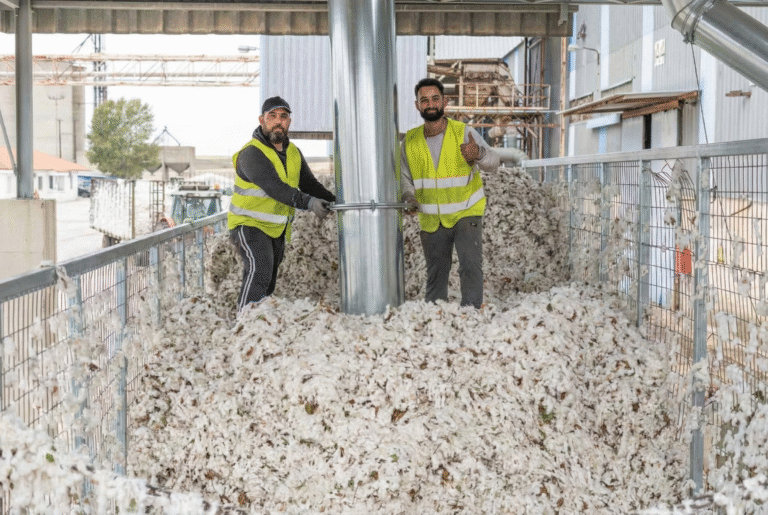 prosopiko-3-sixalpha